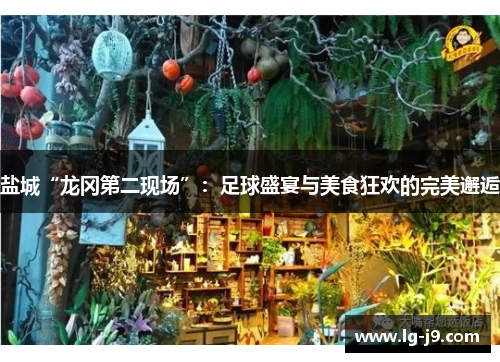 盐城“龙冈第二现场”：足球盛宴与美食狂欢的完美邂逅